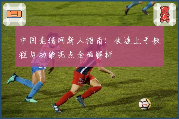 中国竞猜网新人指南：快速上手教程与功能亮点全面解析