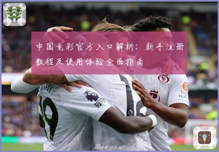 中国竞彩官方入口解析：新手注册教程及使用体验全面指南